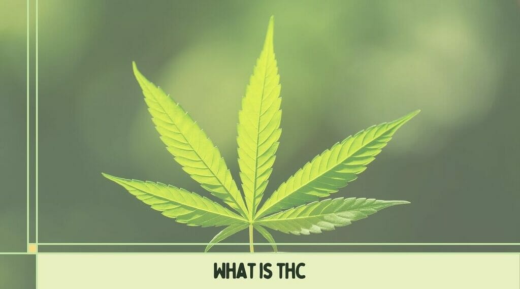 What is the relationship between tci and thc?