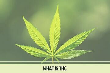 What Is The Relationship Between Tci And Thc?
