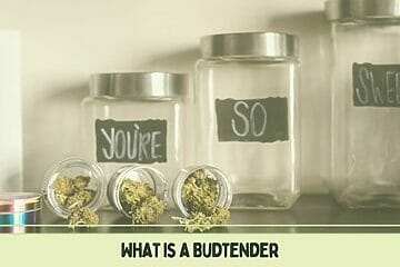 What Is A Budtender