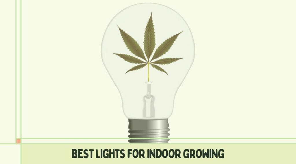 Top-rated indoor growing lights.