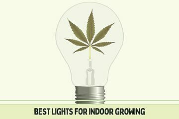Top-Rated Indoor Growing Lights.