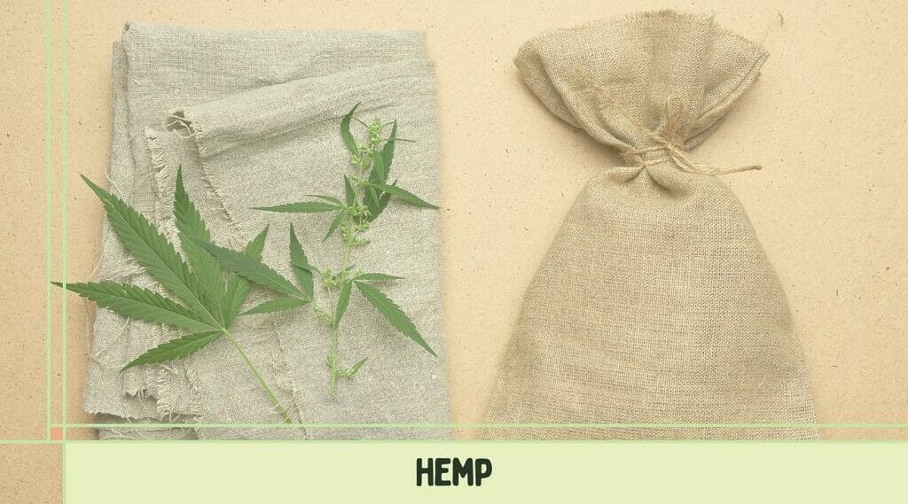 An image of a hemp leaf and a bag labeled with the word "hemp.