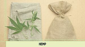 An image of a hemp leaf and a bag labeled with the word "hemp.
