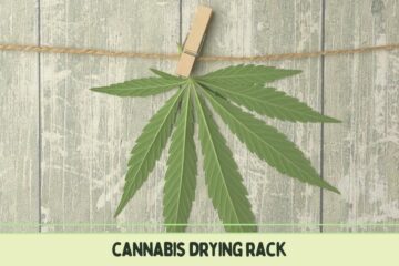 Cannabis_Drying_Racks