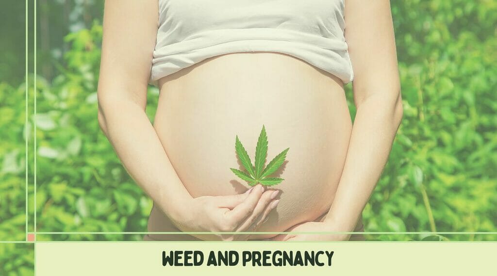 A pregnant woman seeking information about the effects of weed on pregnancy.