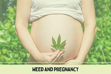 A Pregnant Woman Seeking Information About The Effects Of Weed On Pregnancy.