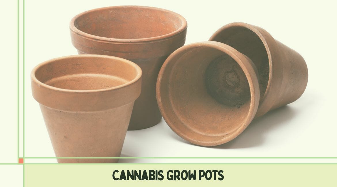 cannabis grow pots