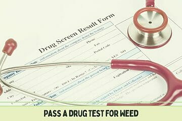 Pass Drug Test For Weed