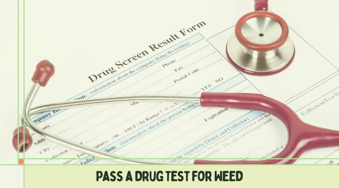 Pass Drug Test for Weed