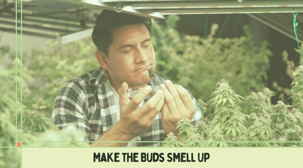 How to Make the Buds Smell Up
