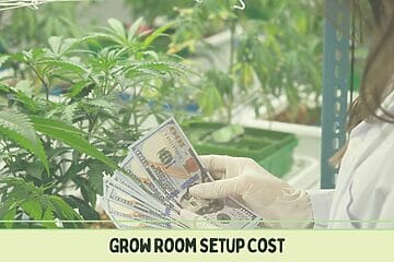 Indoor Grow Room Setup Cost For Marijuana