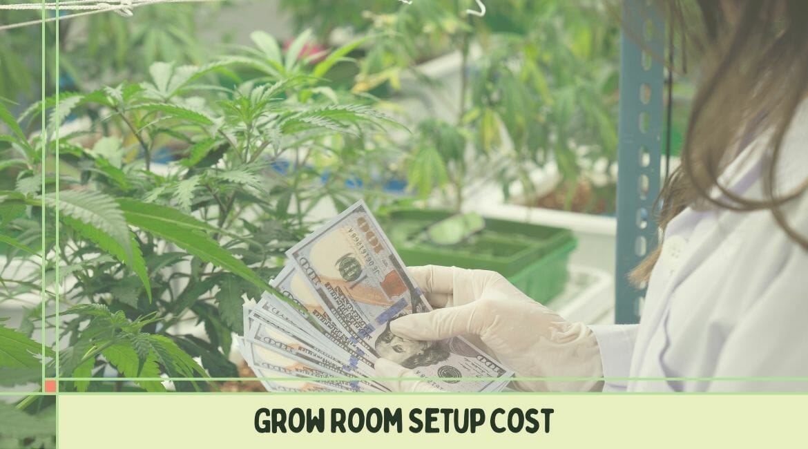 Indoor Grow Room Setup Cost for Marijuana